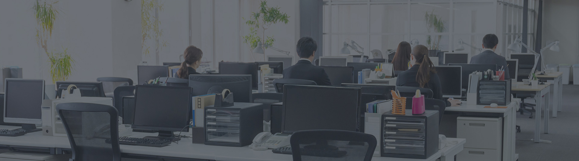 Thông tin về SPN Media